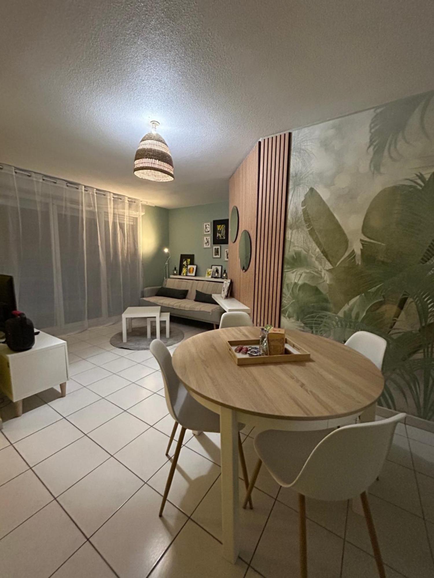 Appartement Cosy Agen Centre Avec Lit King Size エクステリア 写真